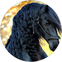 Claudia profile picture